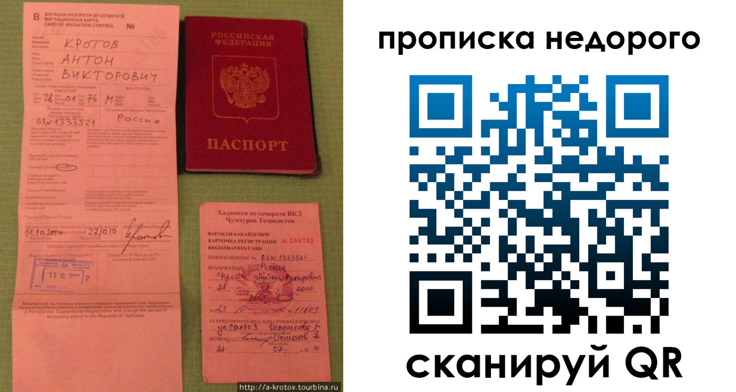 прописка 2025 в Ельне