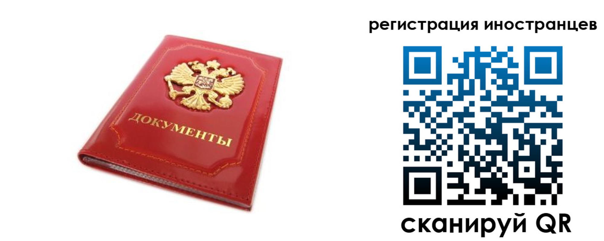 временная прописка в Ельне